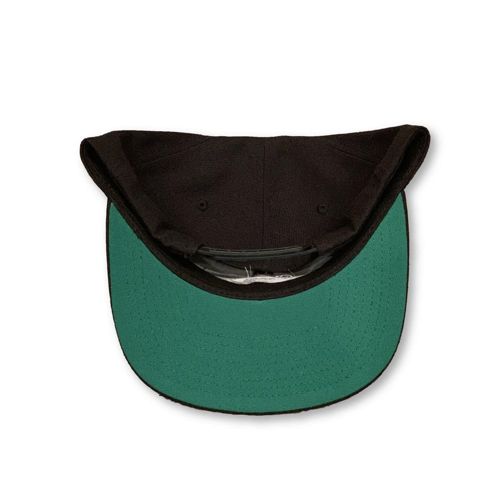 THIGHBRUSH® "69% ER DIAMOND COLLECTION" - Wool Blend Snapback Hat - Black - Flat Bill